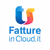 Fatture in Cloud Integration with Maesn Unified API