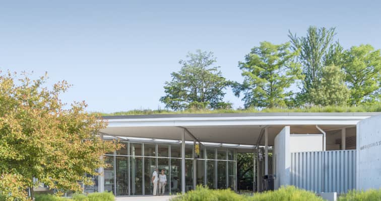 Webflow development workshop