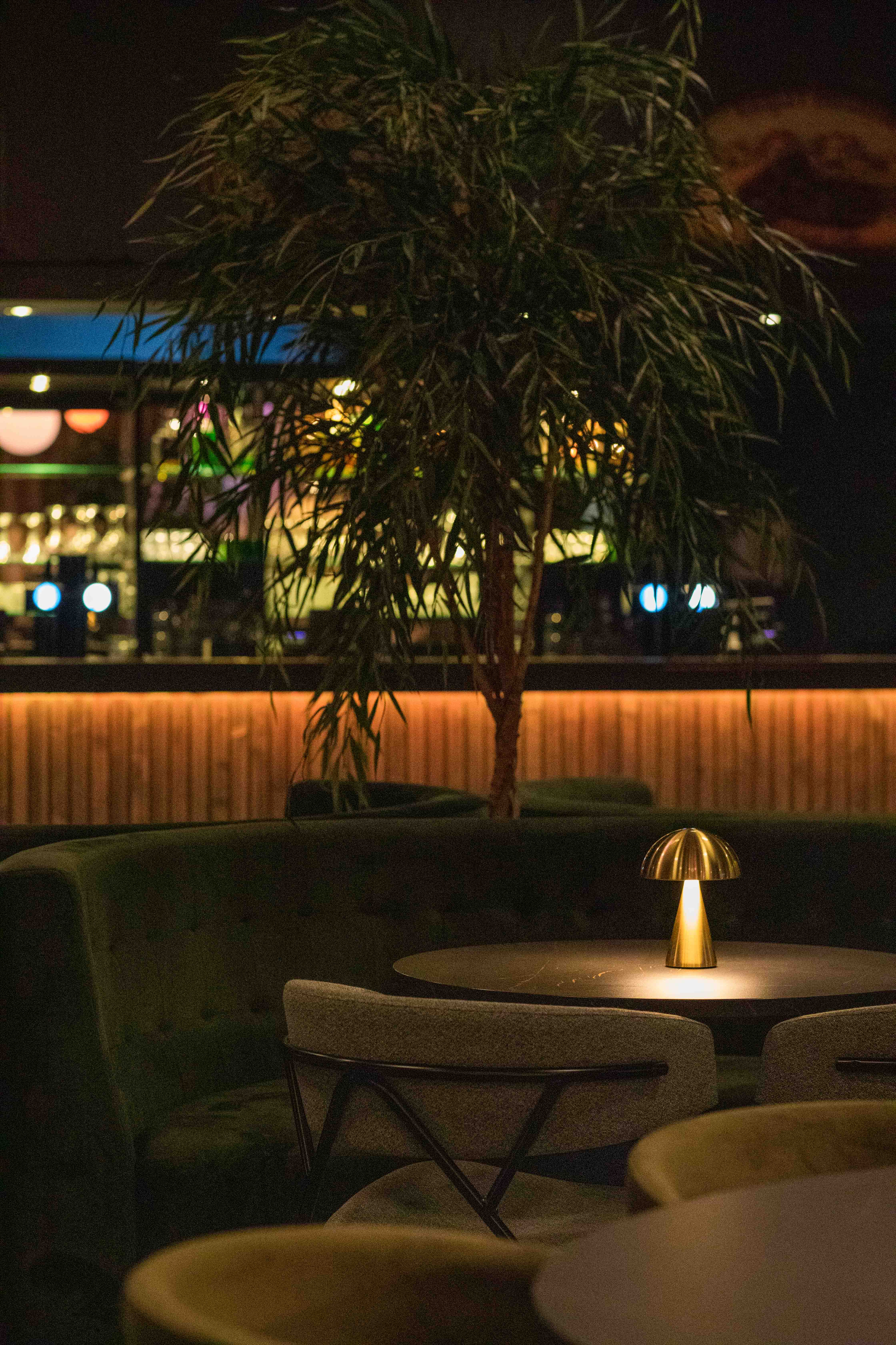 image of concert crowd