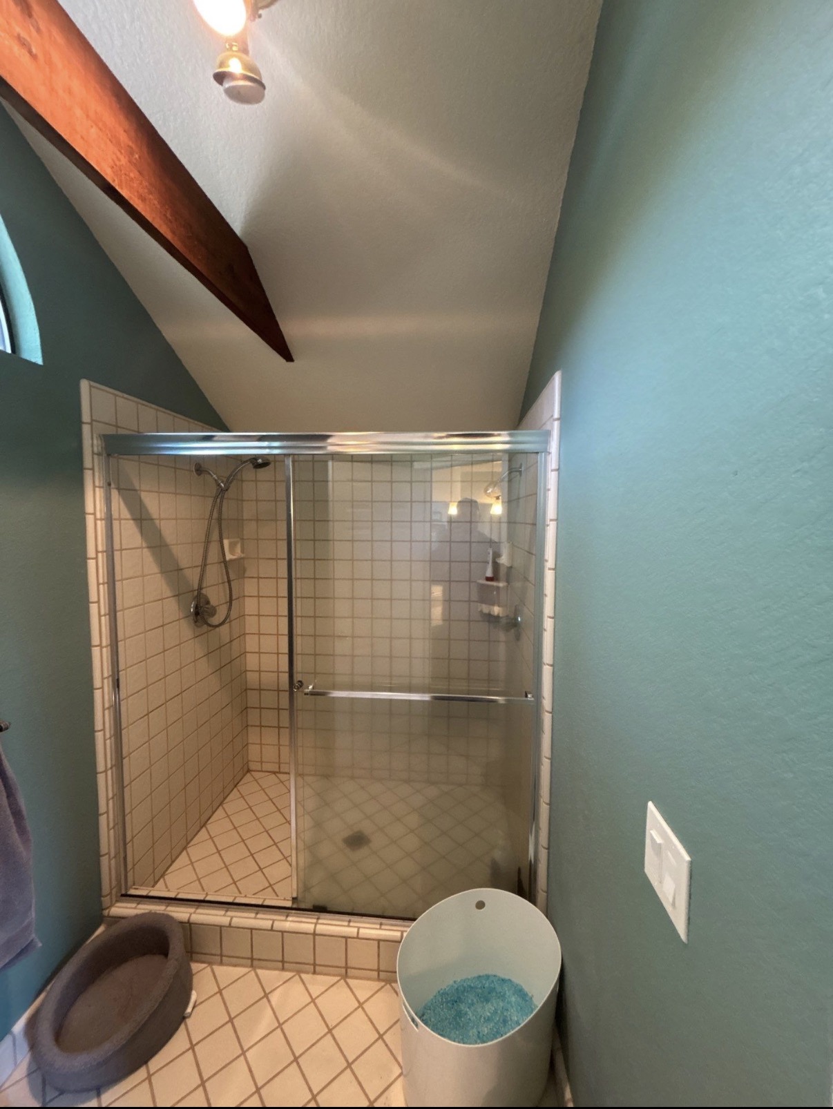 Bathroom shower with glass sliding doors, beige square tiles, teal walls, a pet bed, and a white bucket with blue granules.
