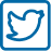 Twitter icon