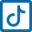 Tiktok icon