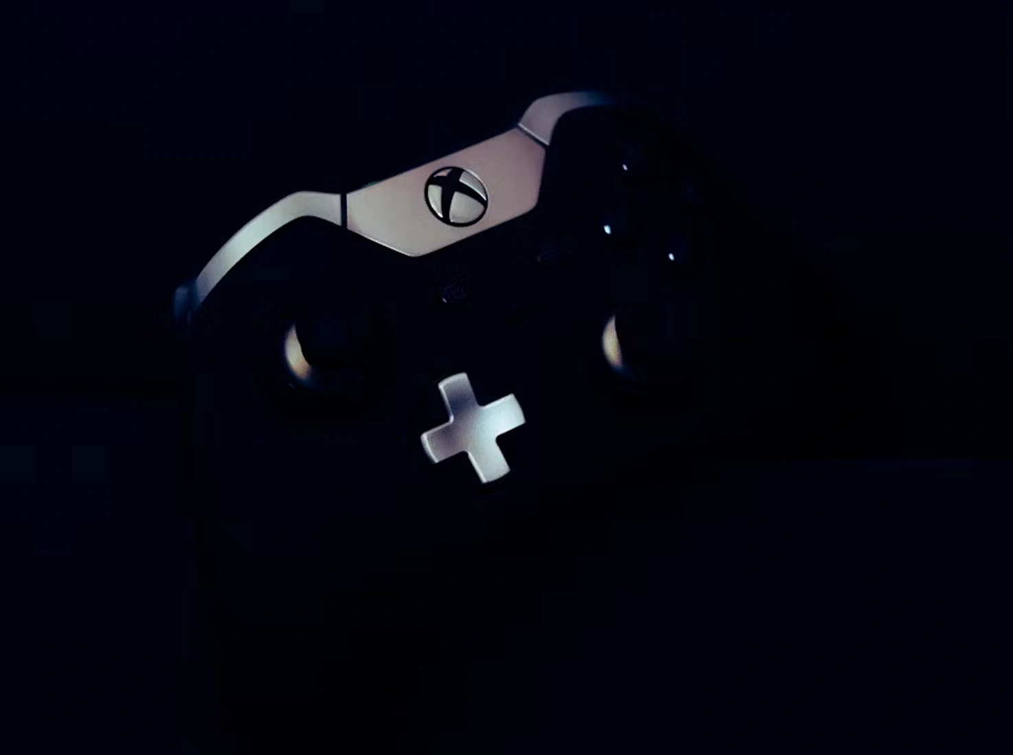 Gallery Single Image