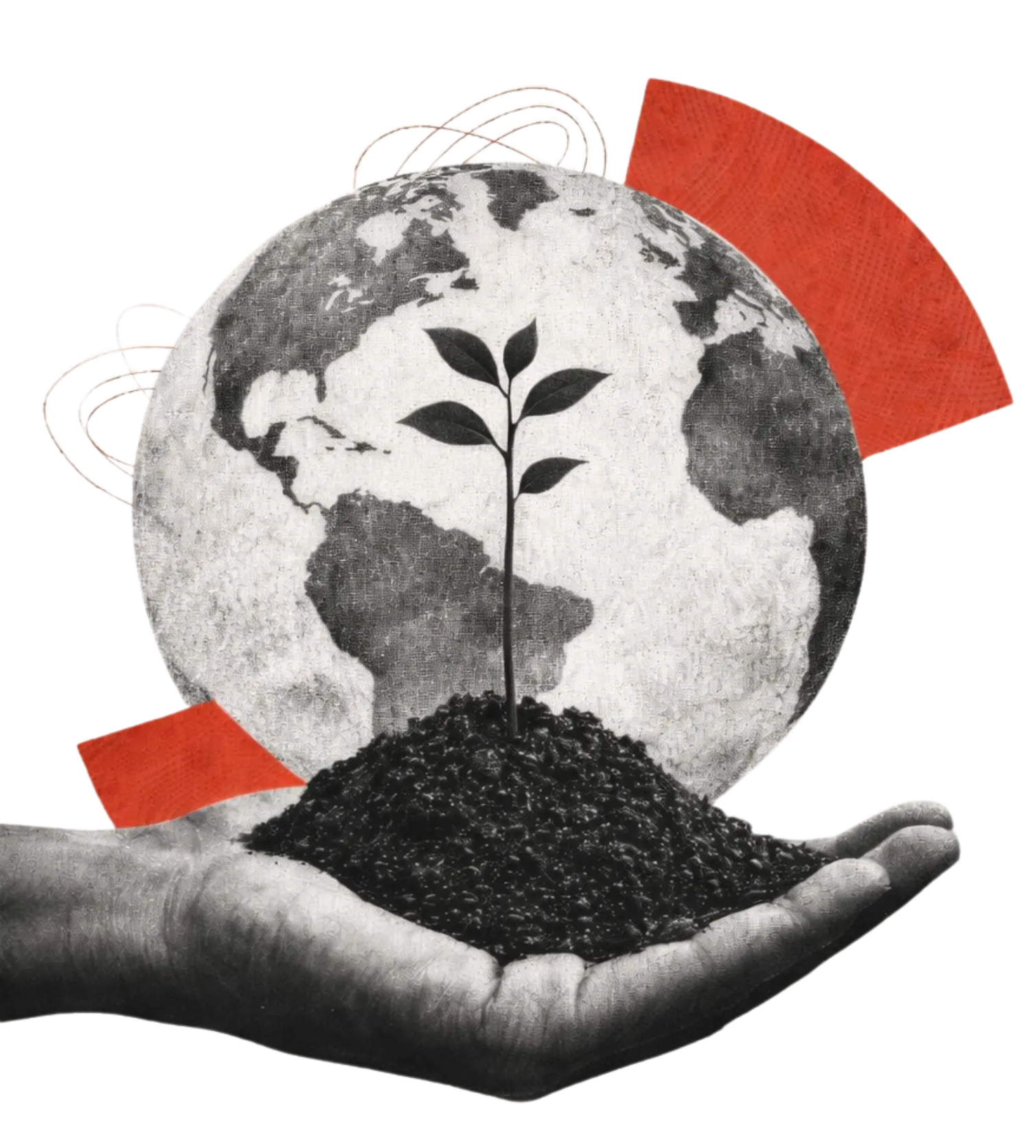 PeaceBridge Institute graphic of world on a hand