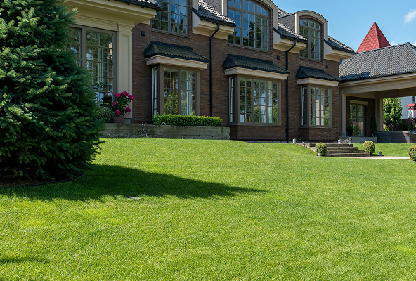 Close-up of a mosquito perched on a green leaf with a blurred background.