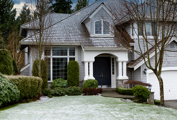 Close-up of a mosquito perched on a green leaf with a blurred background.
