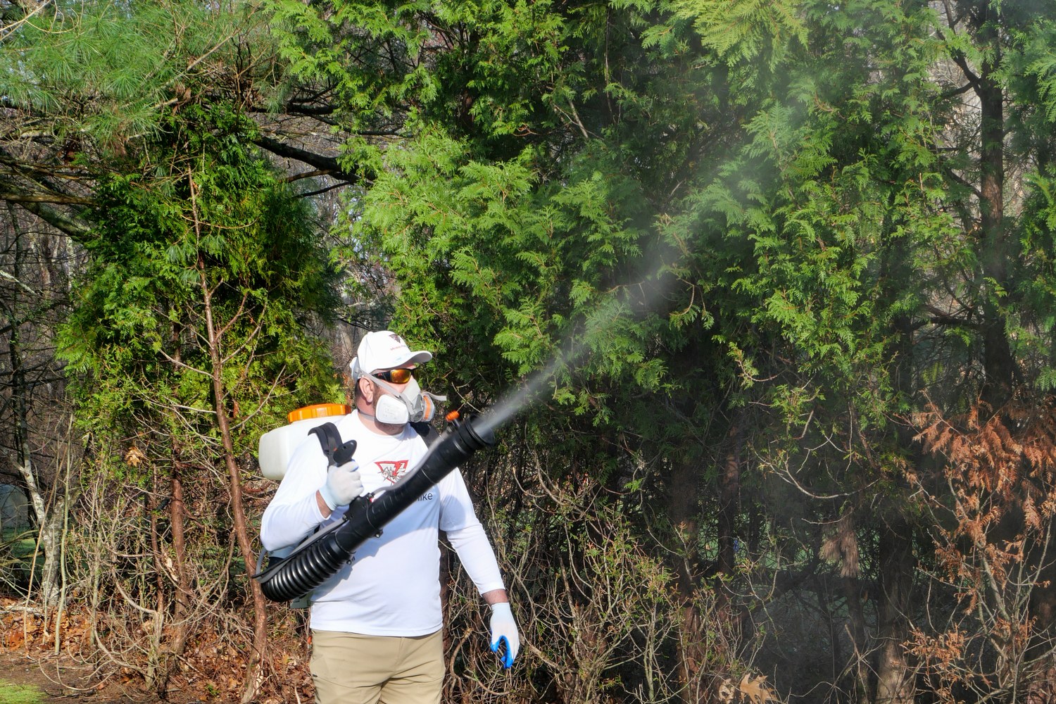 Mosquito Mike technician treating the wooded edge of a yard, prime tick habitat in Massachusetts