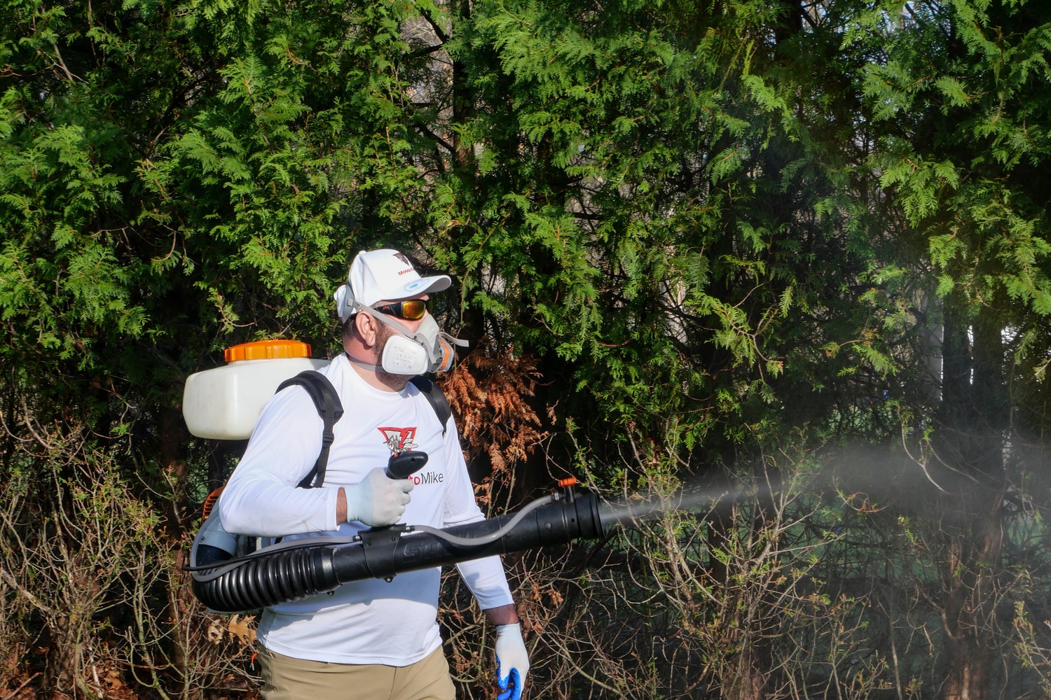 Mosquito Mike technician treating a brushy wooded property edge with a backpack mist sprayer