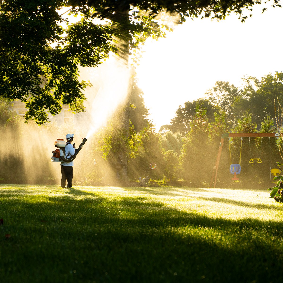 Mosquito Mike technician spraying a backyard lawn at golden hour, with mist drifting near a family swing set.