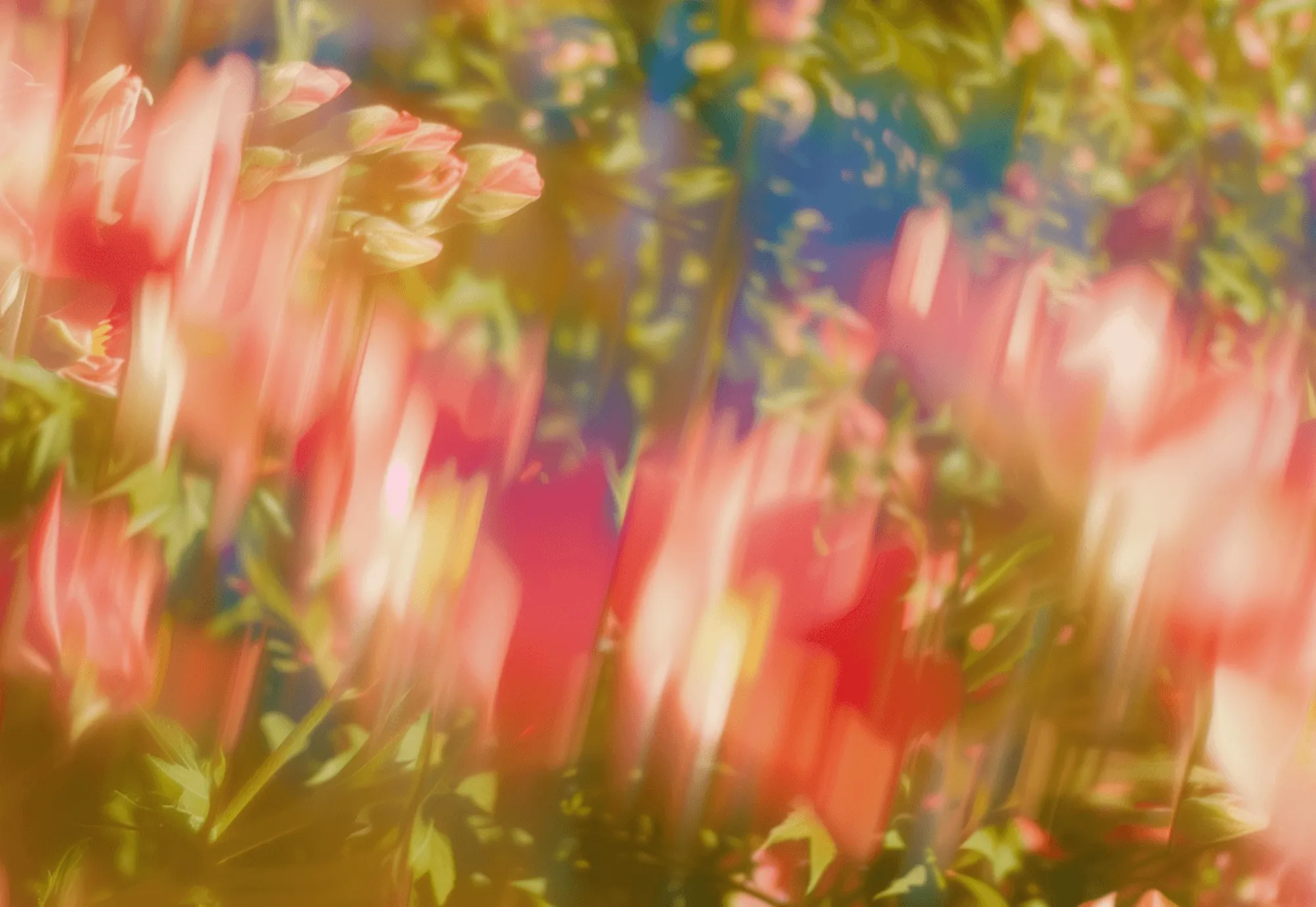Soft-focus close-up of pink flowers with green foliage and a blue sky background.