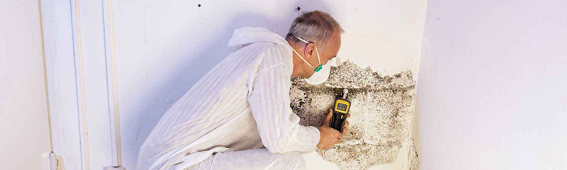 Mold and fungus treatment in crawl space in Hampton Roads, VA