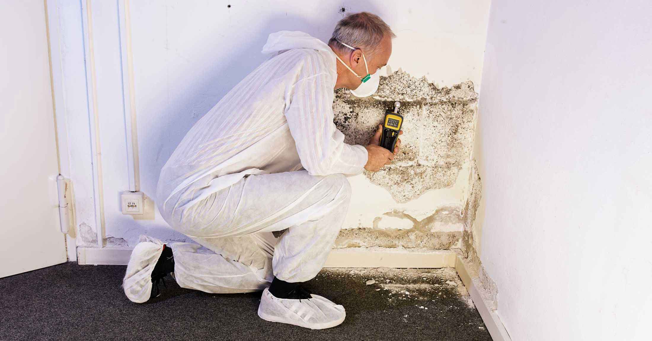 Mold and fungus treatment in crawl space in Hampton Roads, VA