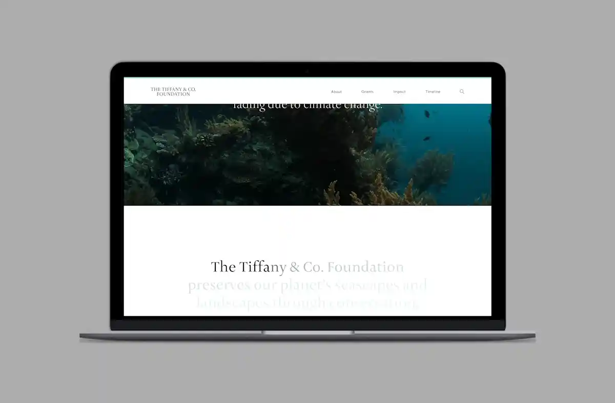 Tiffany & Co. Foundation