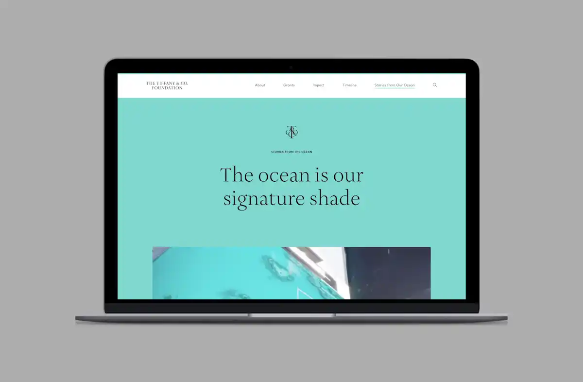 Tiffany & Co. Foundation