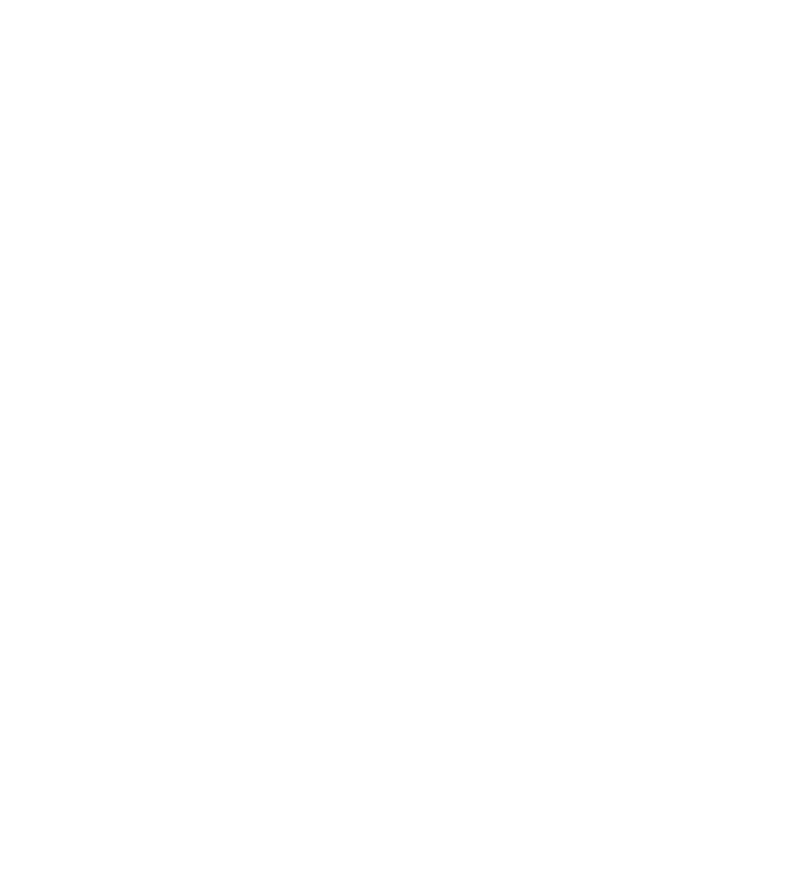 An icon representing Custom Solutions
