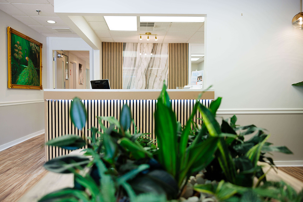 Modern reception area at Sharon Orthodontics in Sharon, MA featuring a welcoming front desk and indoor plants