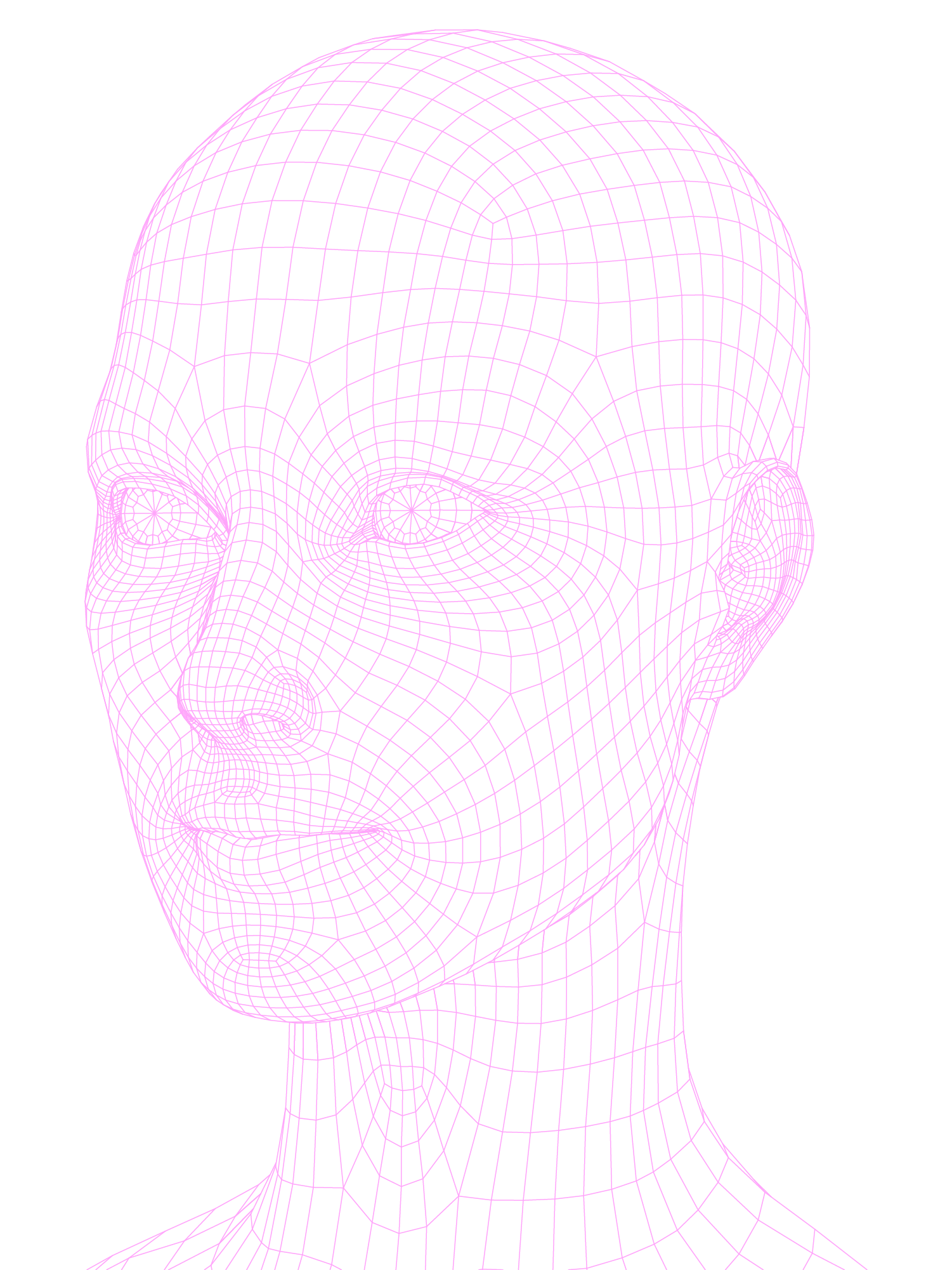 Abstract human female wireframe head showing character development