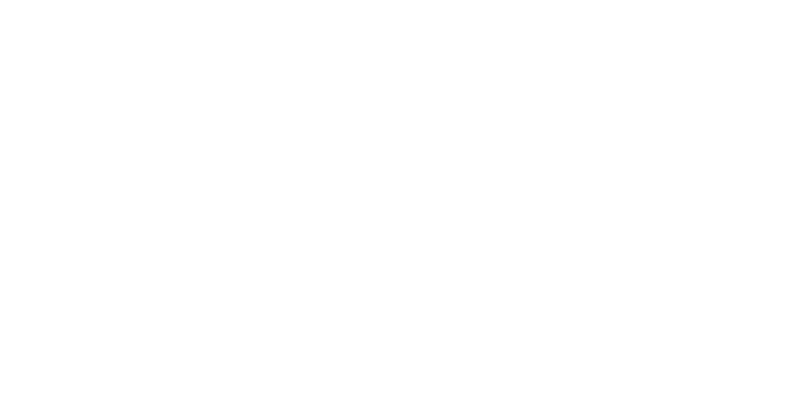 Logo FNS - Fundo Nacional de Saúde