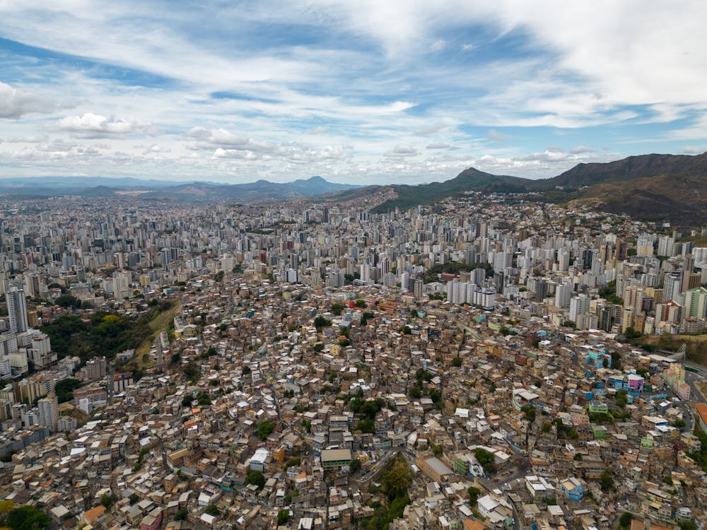 Servidor público realizando pesquisa de preços em sistema digital — IN SEGES 65/2021