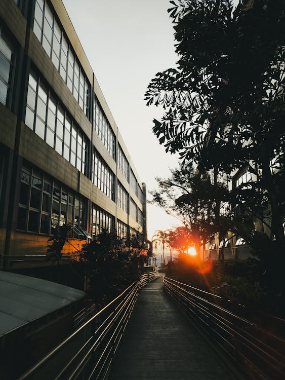 Fiscal de contrato inspecionando execução de serviço público — Arts. 117-120 Lei 14.133