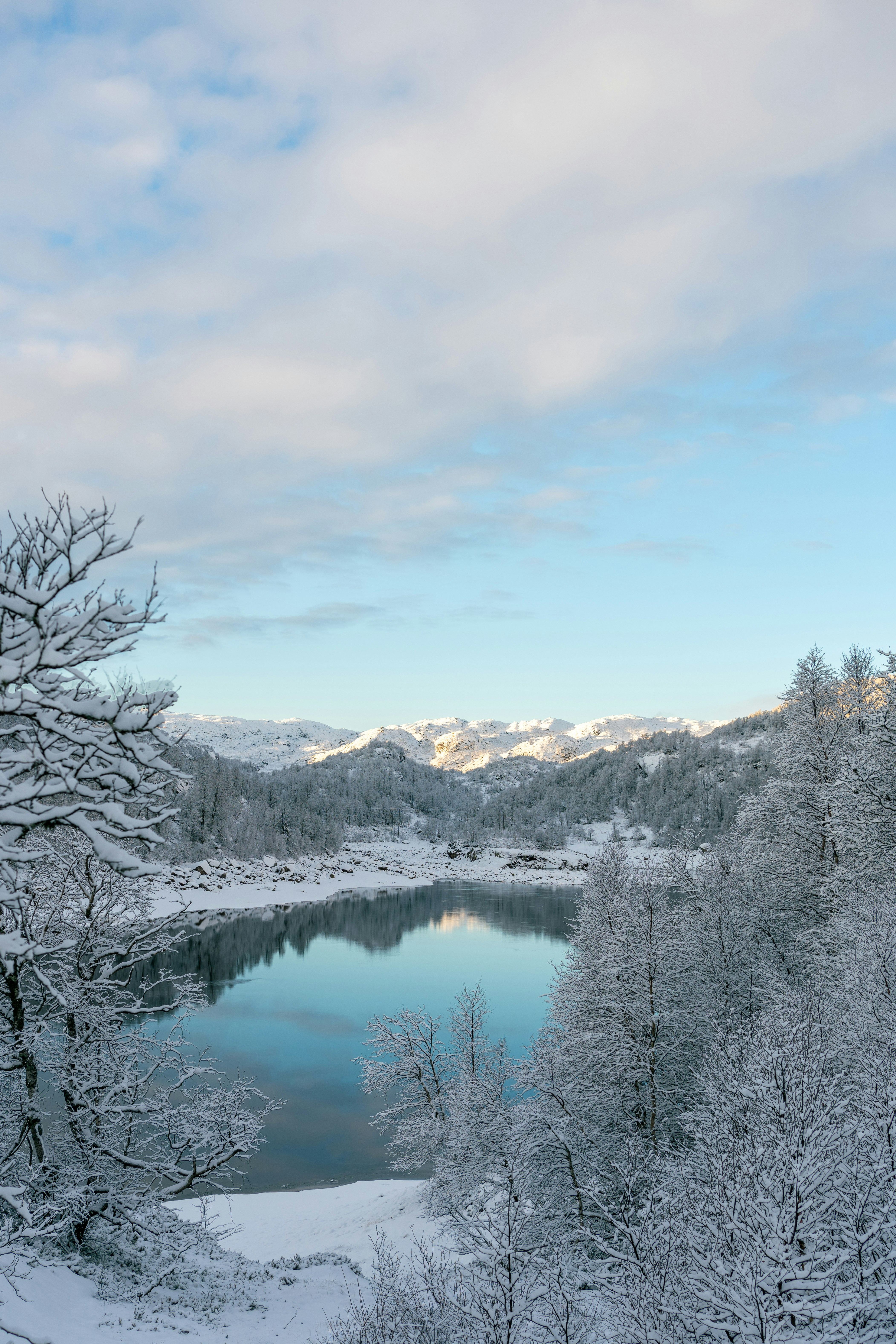 image of individual book with synopsis
