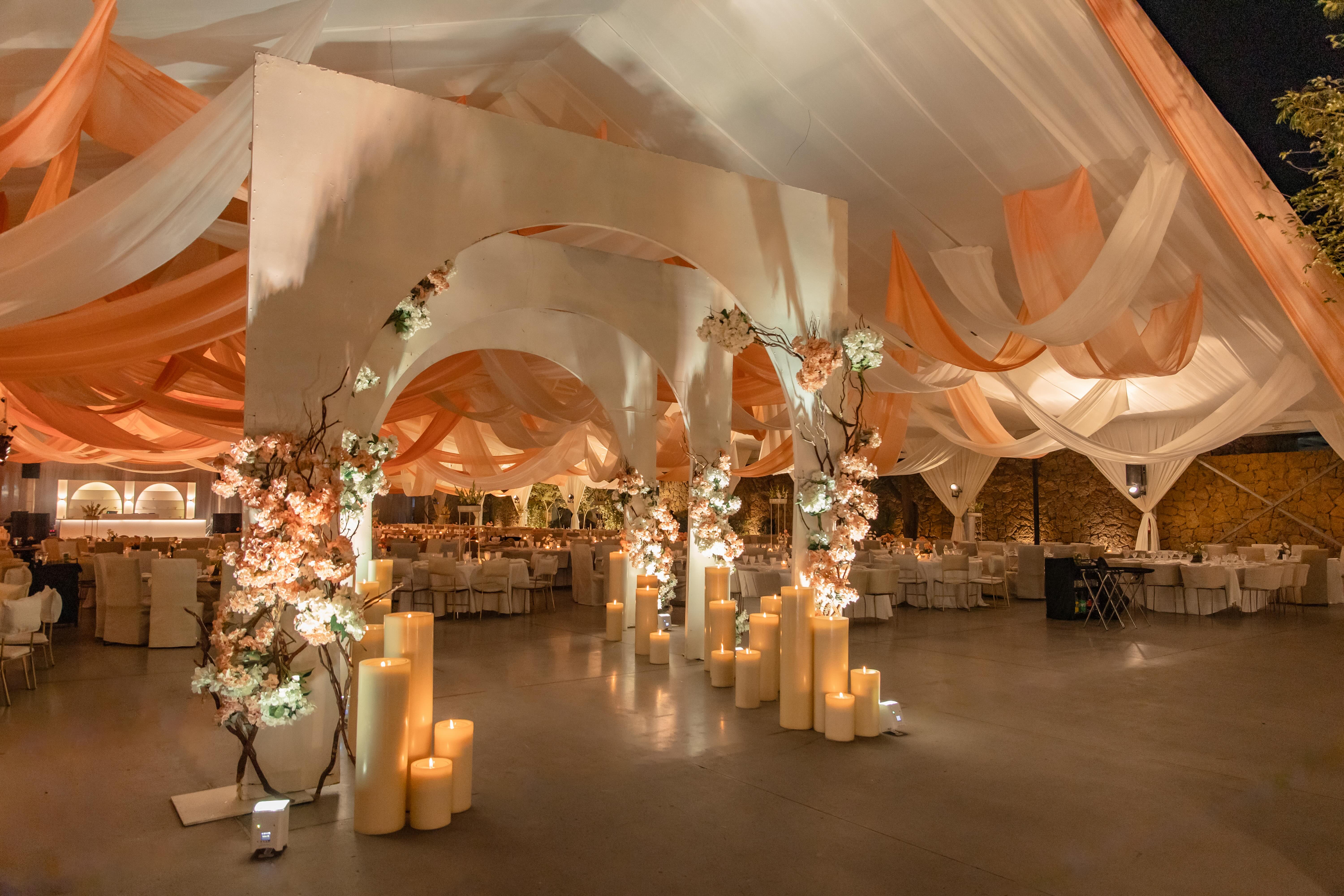 Guadalajara 2025 - UP ANI