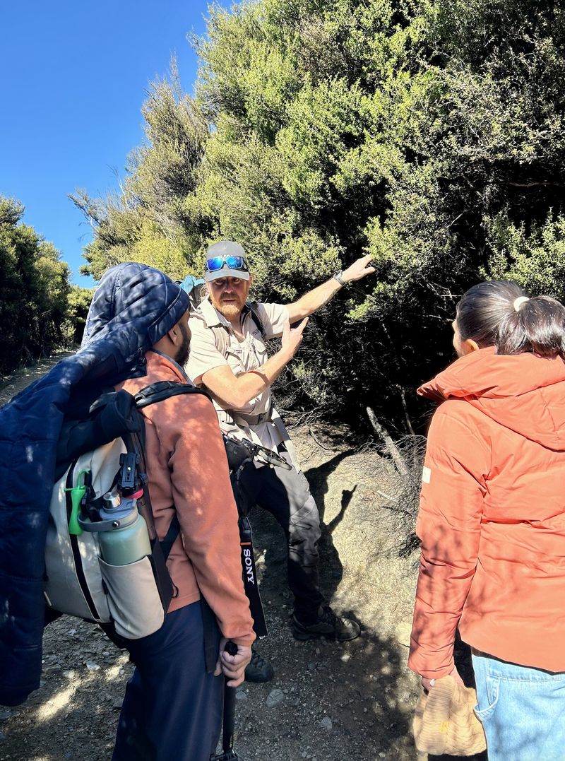 Reel South Charters guide explaining native bush to guests