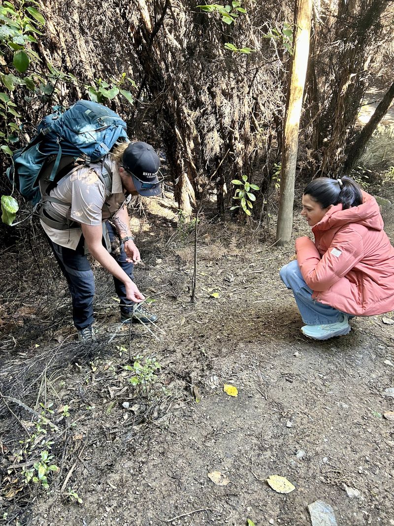 Guests inspecting a native seedling on a conservation walk