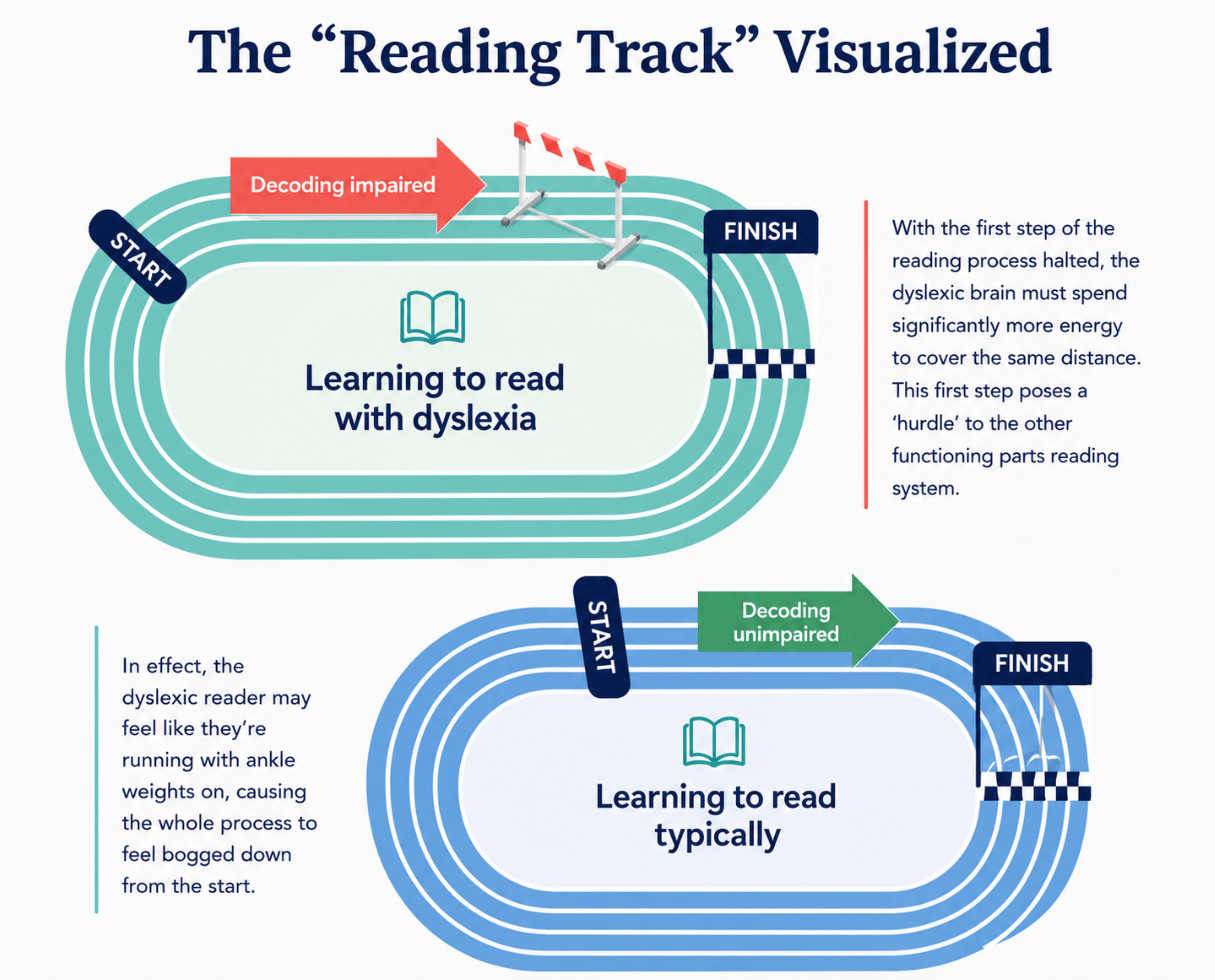 Reading racetrack comparison showing how decoding challenges in dyslexia can make learning to read require more effort than typical reading development