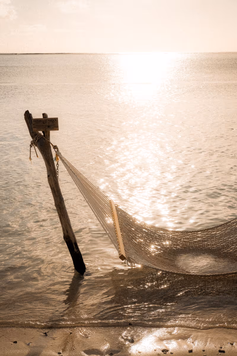 Hamac tendu au-dessus du lagon, dans la lumière dorée du soir
