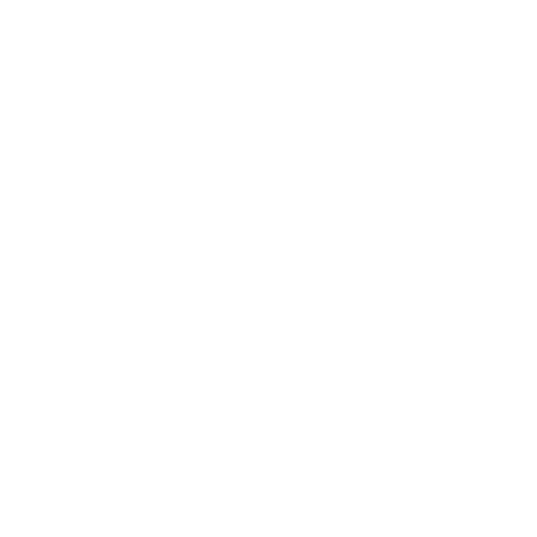 brain icon