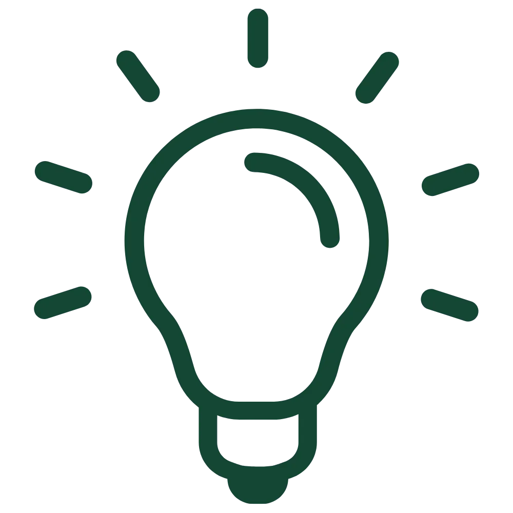 lightbulb icon