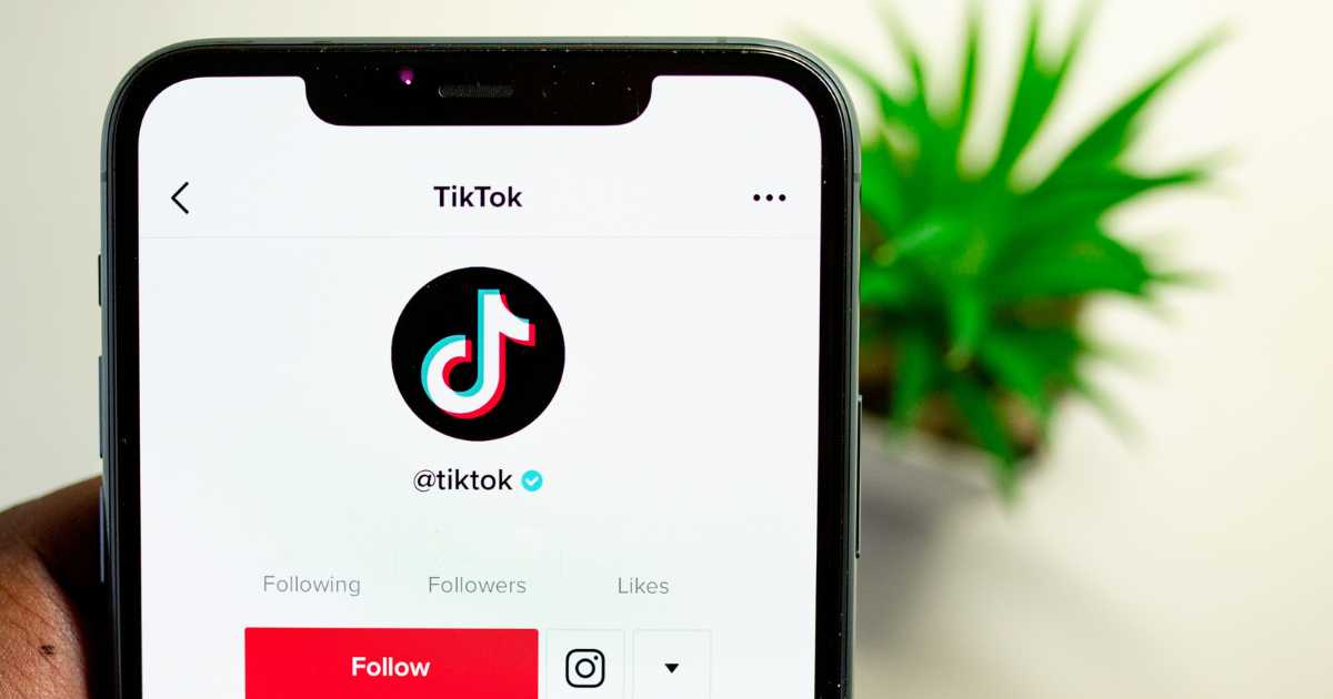 Understanding the TikTok Landscape