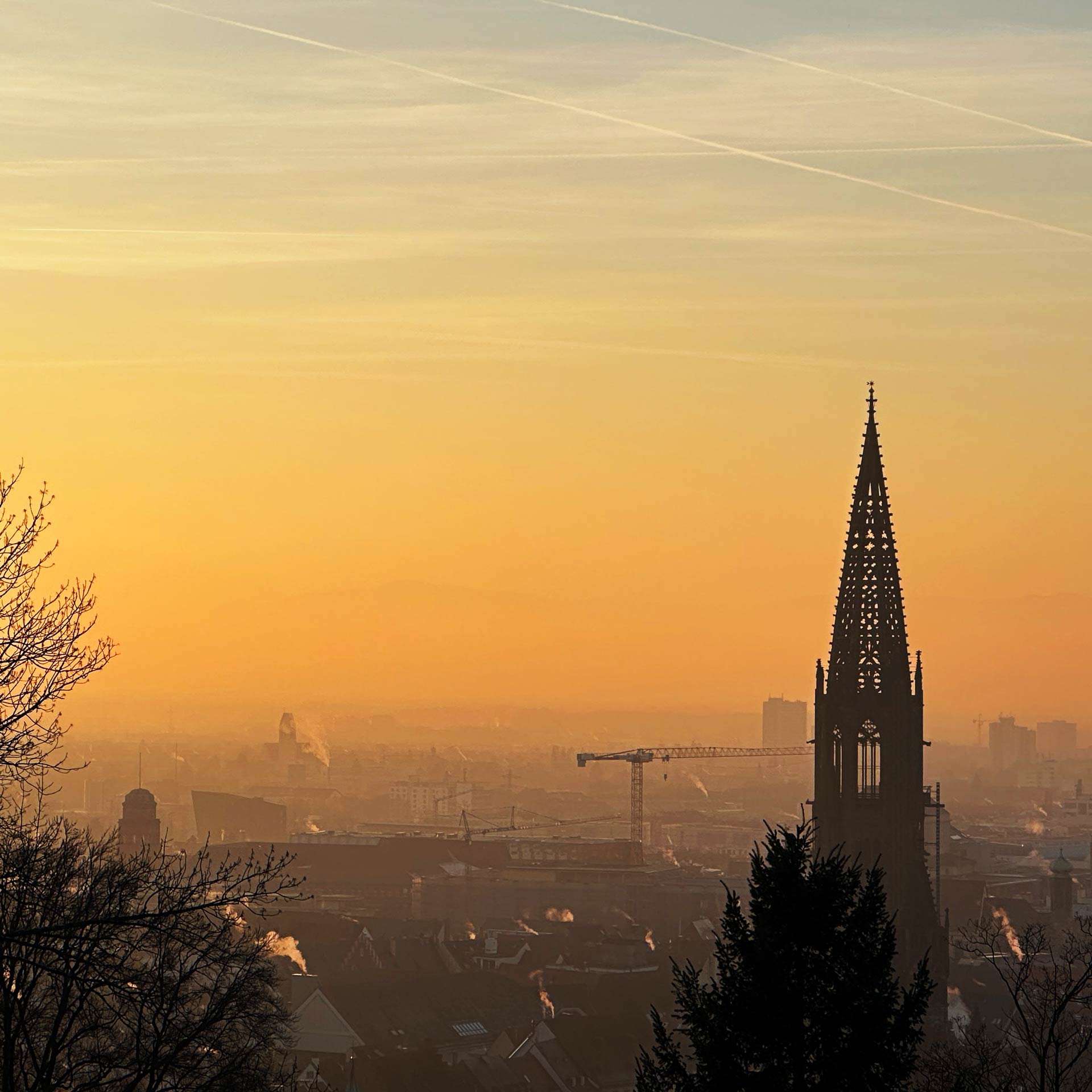 Freiburg im Breisgau