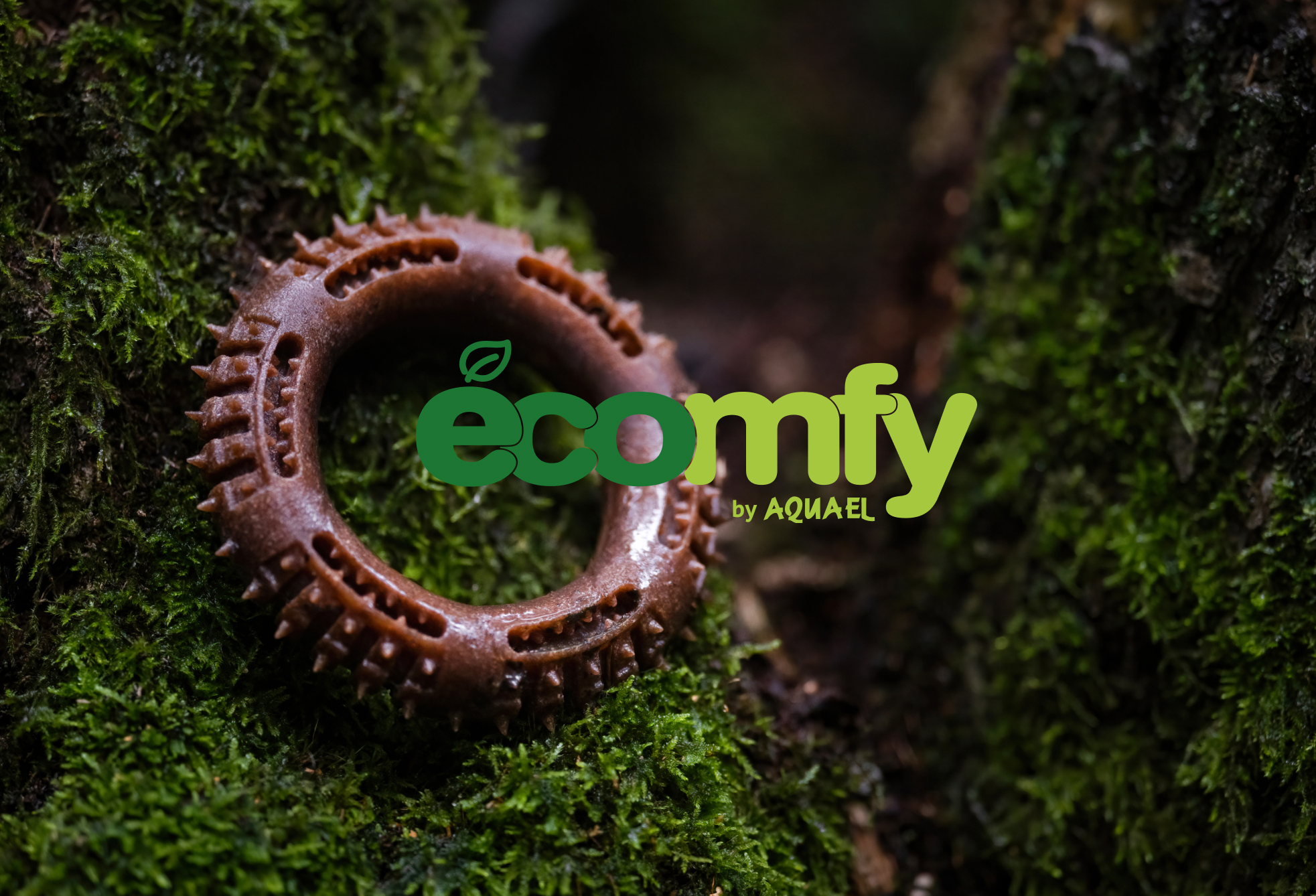 brand identity, landing for an educational platform