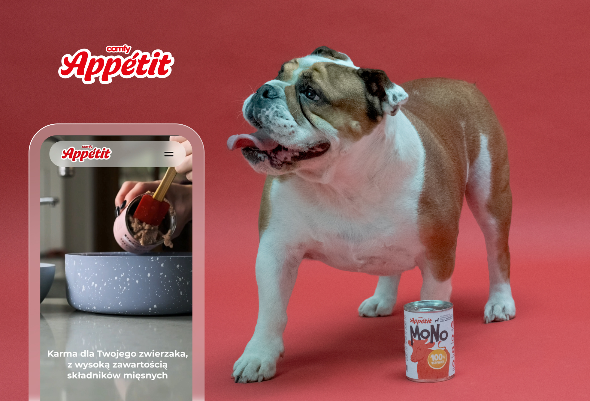 brand identity, landing for an educational platform