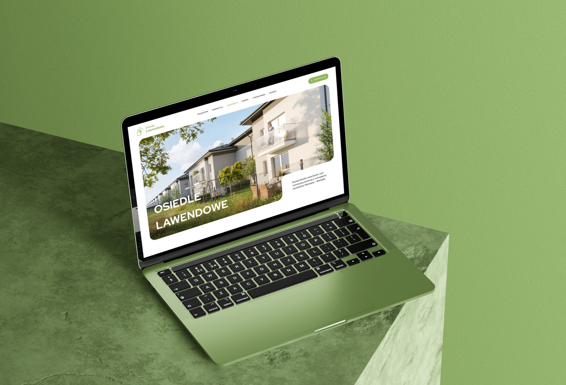 brand identity, landing for an educational platform