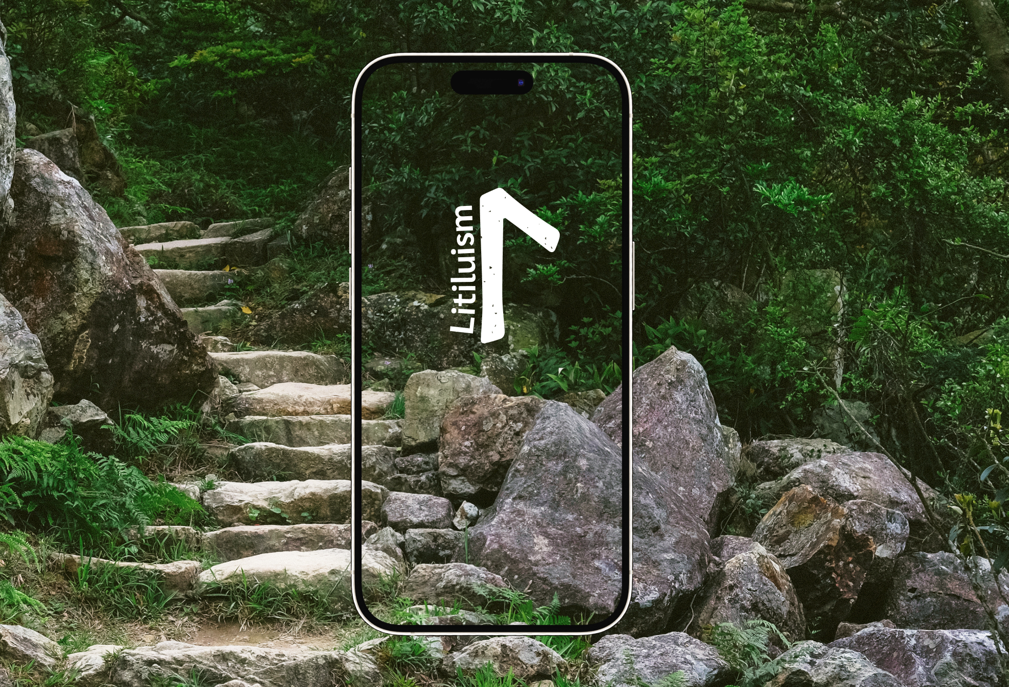 brand identity, landing for an educational platform