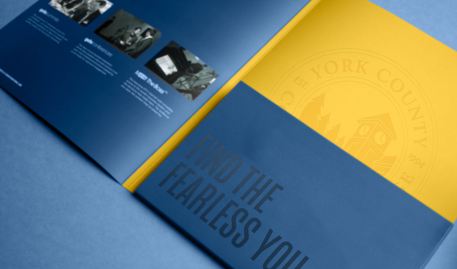 Gallery Single Image