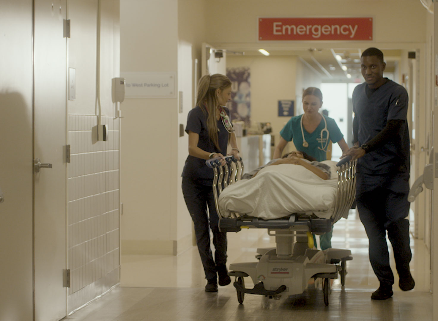 Gallery Single Image