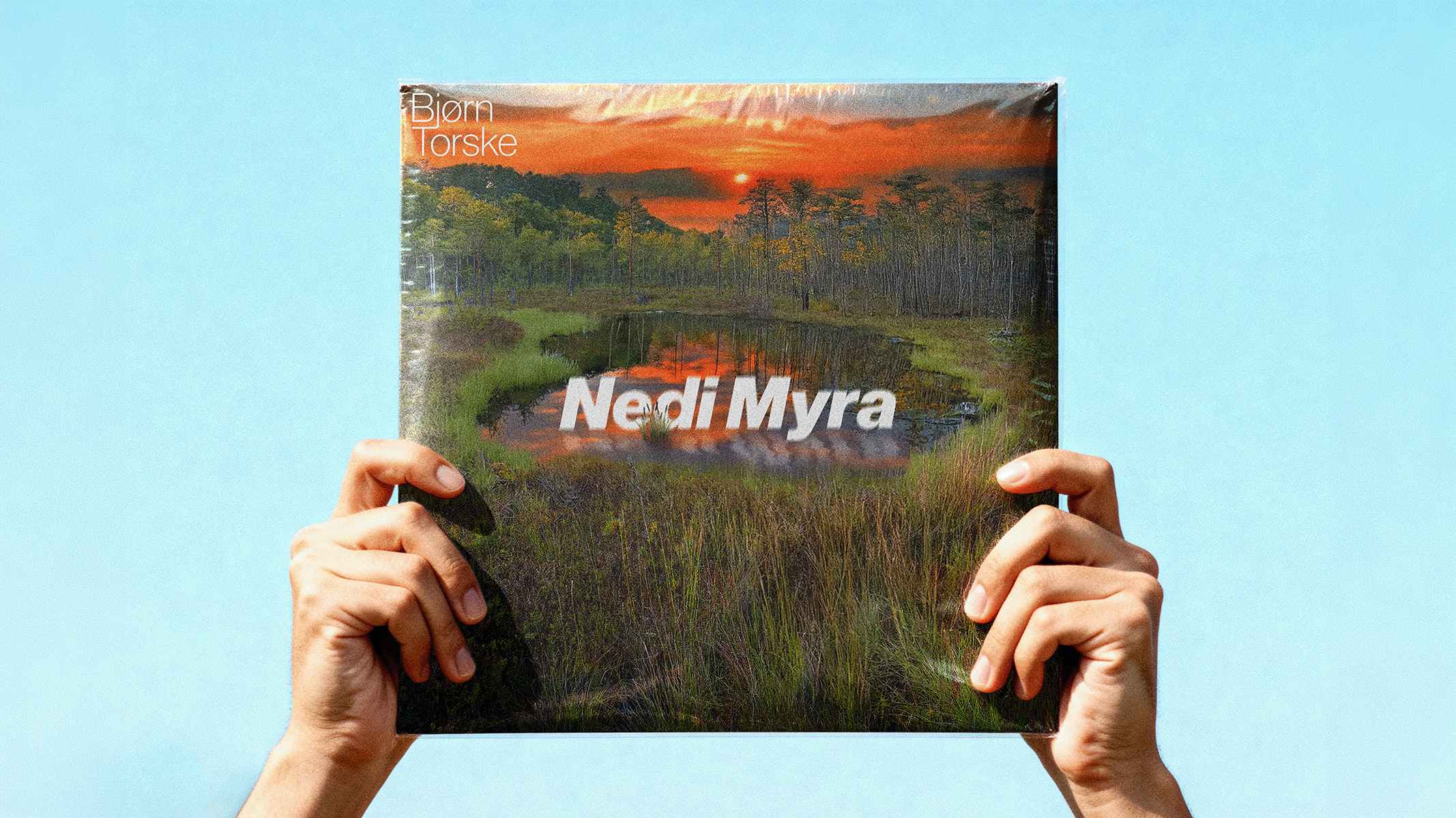 Hands holding a vinyl record cover with sunset swamp landscape titled Nedi Myra by Bjørn Torske.