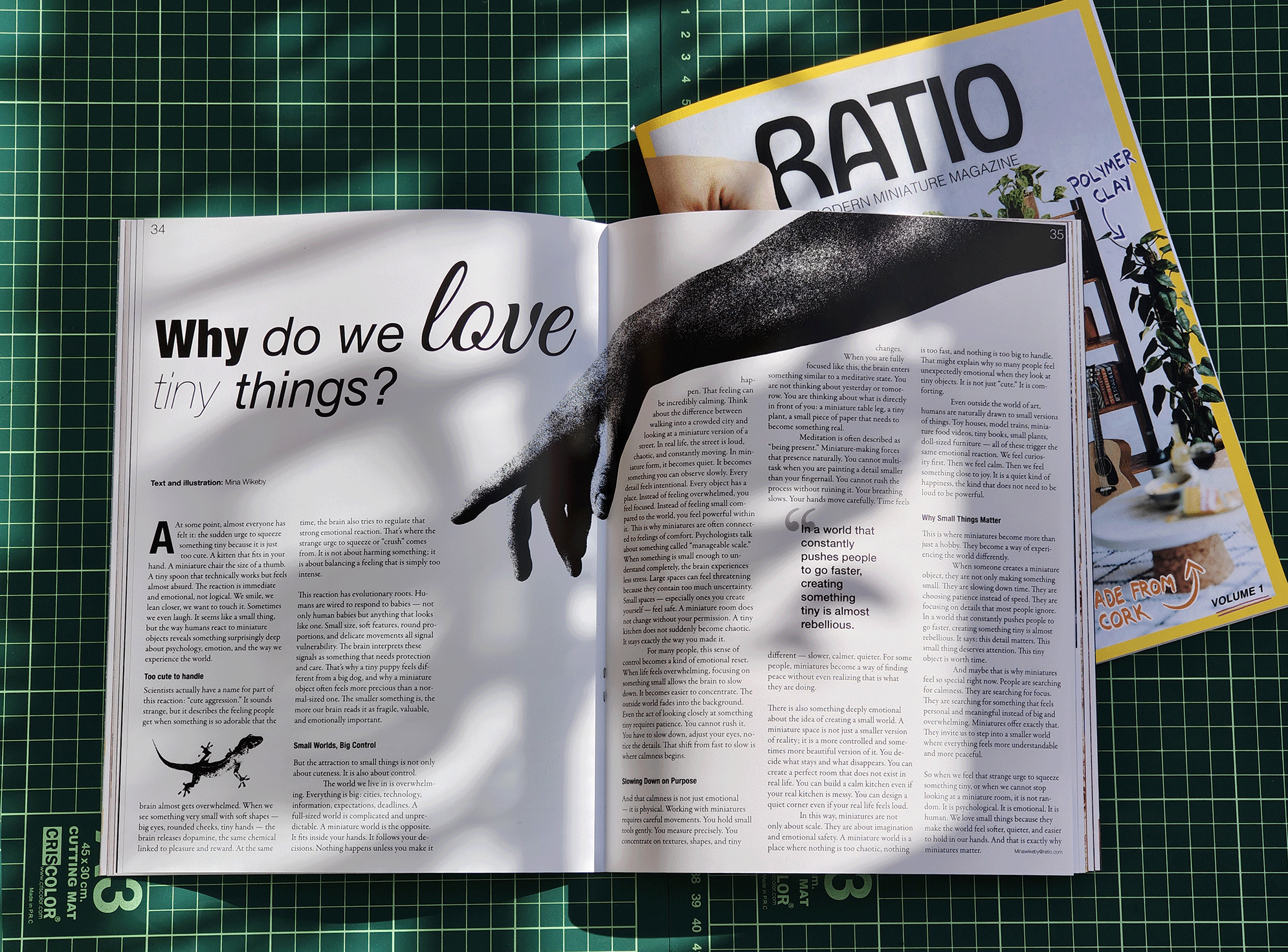 Open magazine spread titled 'Why do we love tiny things?' with a photo of a black cast shadow of a hand.