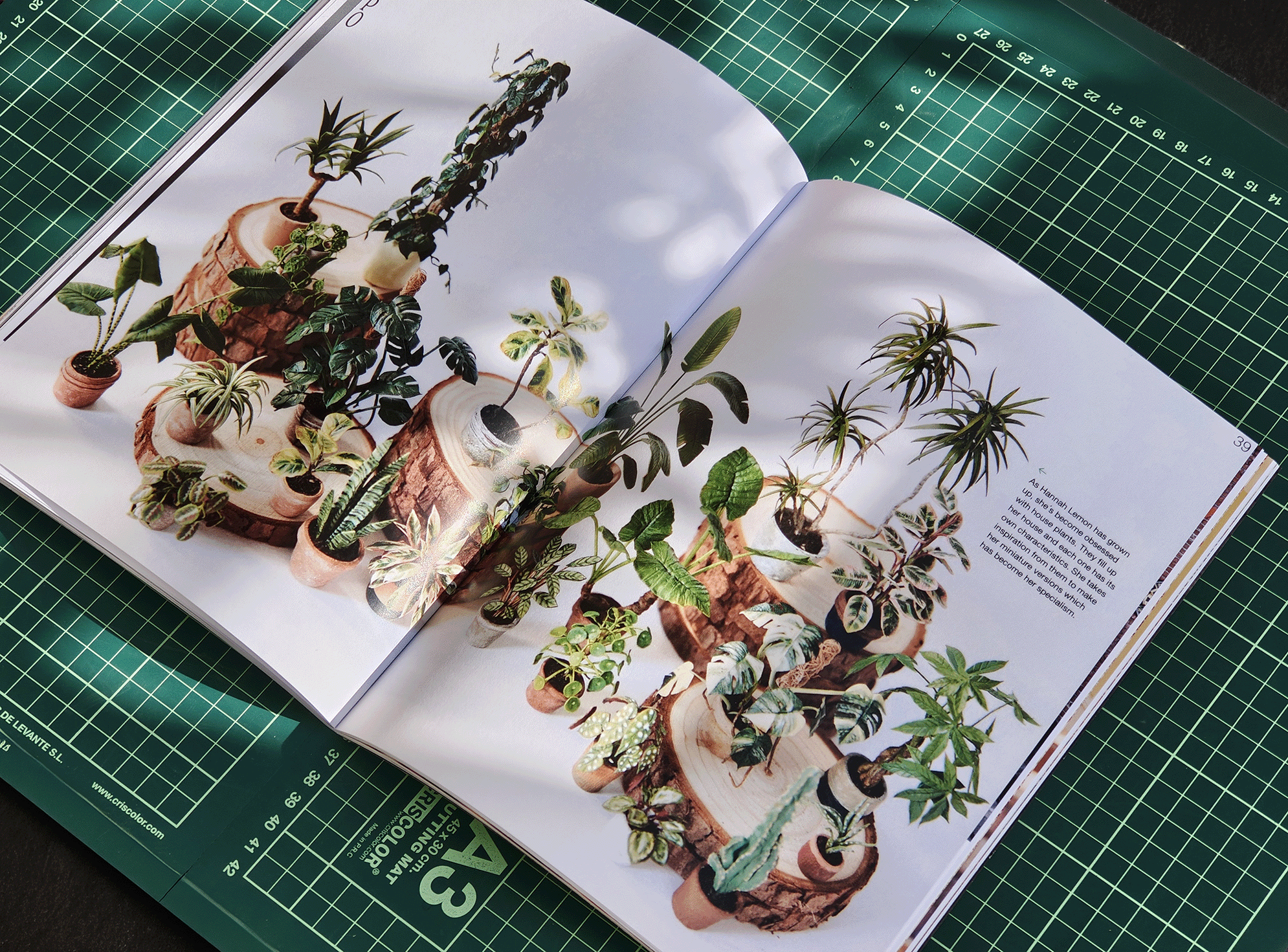 Open book showing various potted plants displayed on large tree stump slices as stand bases.