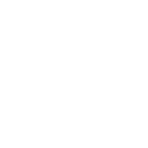 Pizca Experience logo
