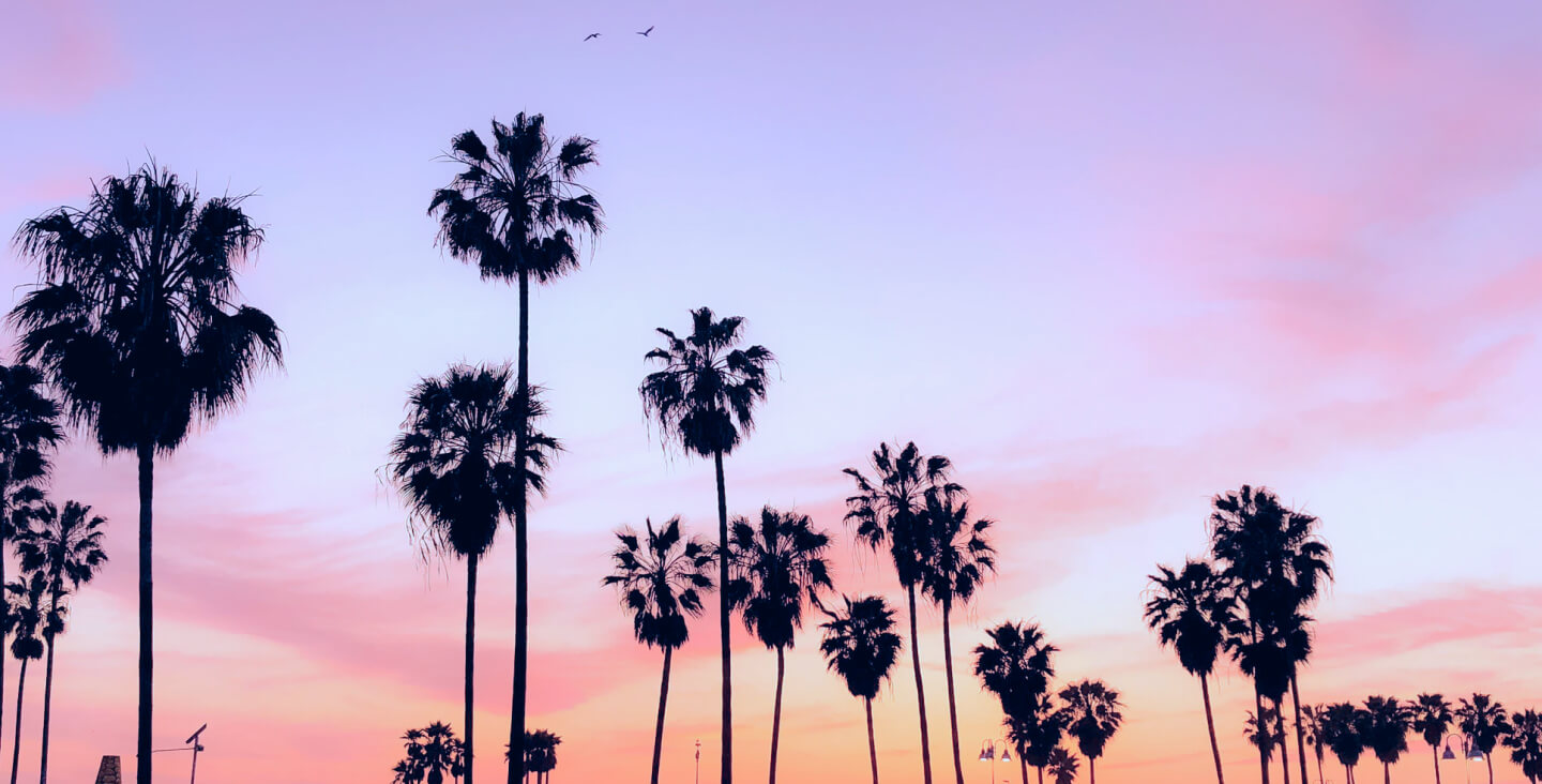 Autograph Signing in Los Angeles YouTube Creators Space