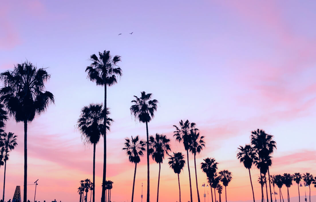 Autograph Signing in Los Angeles YouTube Creators Space