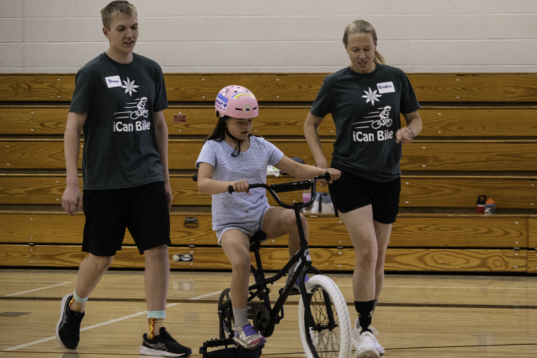image of traditional chinese medicine ingredients