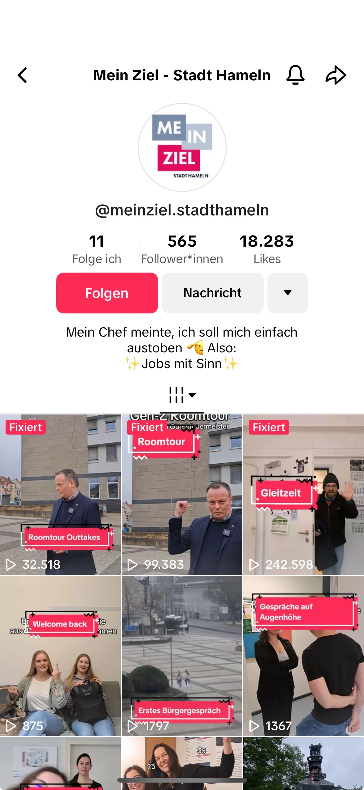 Detailansicht der besonderen Leitungals Screenshot