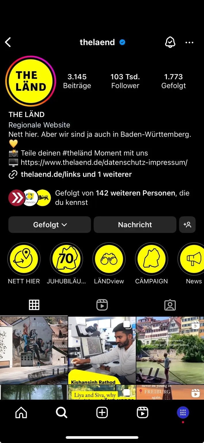 Detailansicht der besonderen Leitungals Screenshot