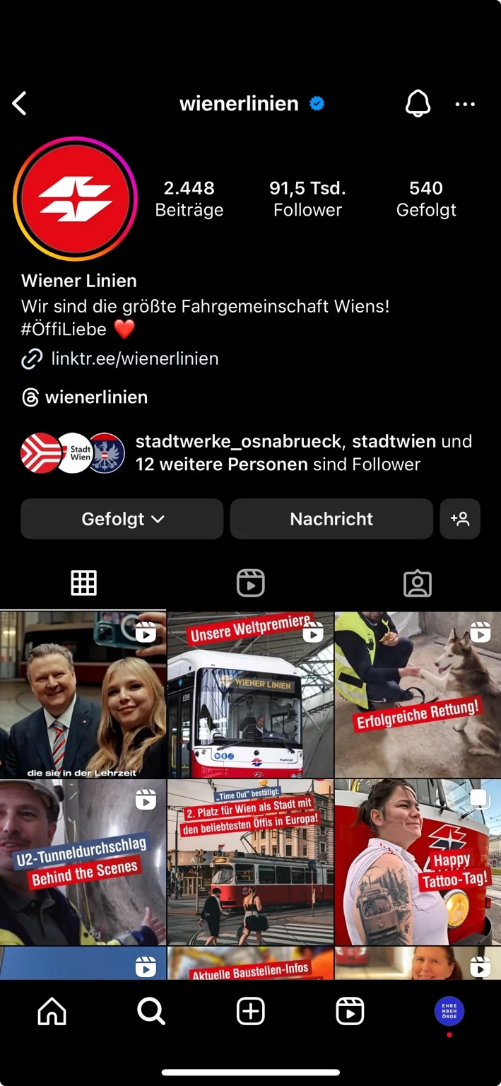 Detailansicht der besonderen Leitungals Screenshot